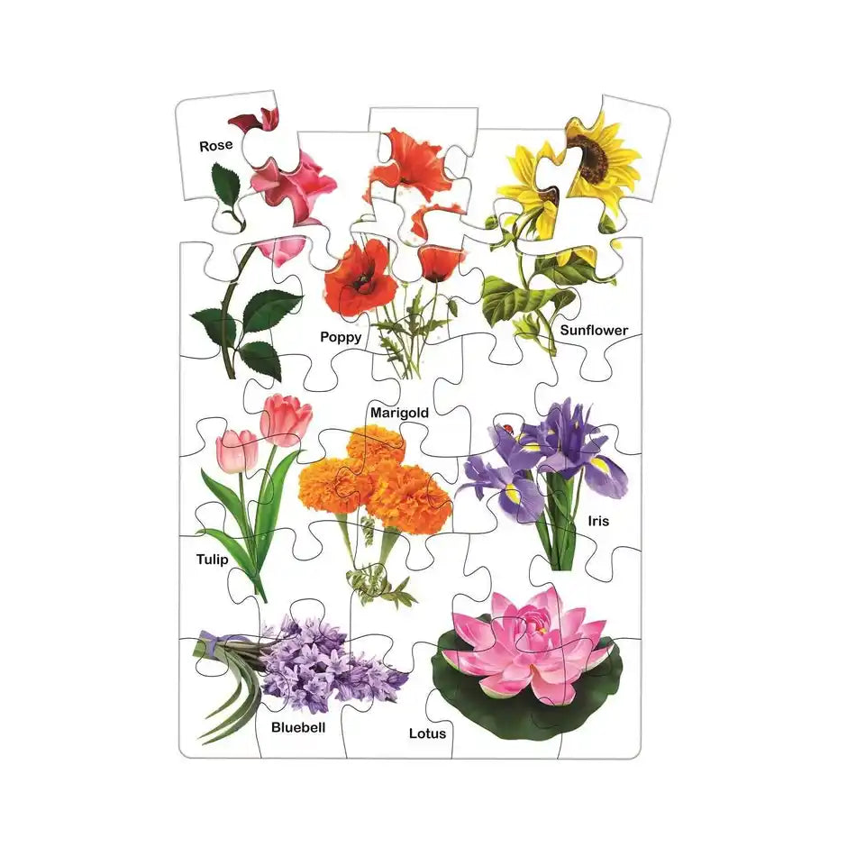knowledge bank-2 jigsaw puzzle -8 different jigsaw puzzles combo