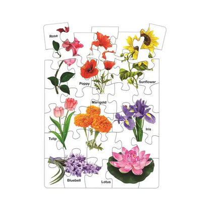 Knowledge Bank-2 Jigsaw Puzzle -8 Different Jigsaw Puzzles Combo